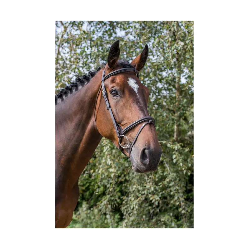 Ecorider Classic Comfort Bridle in Brown