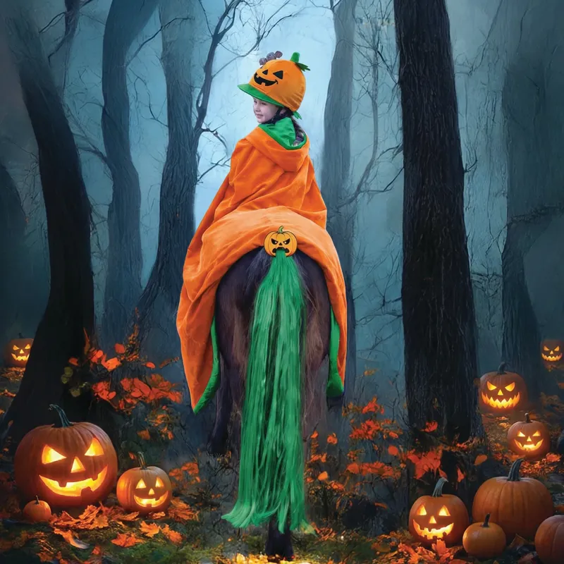 Equetech Patch Pumpkin Hat Silk-2