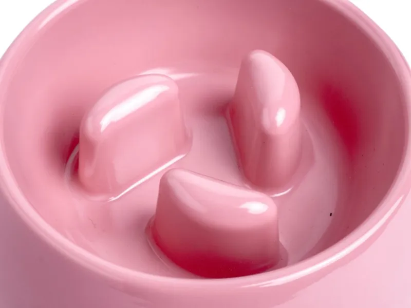 Petface Anti Gulping Bowl Small in Pink-2