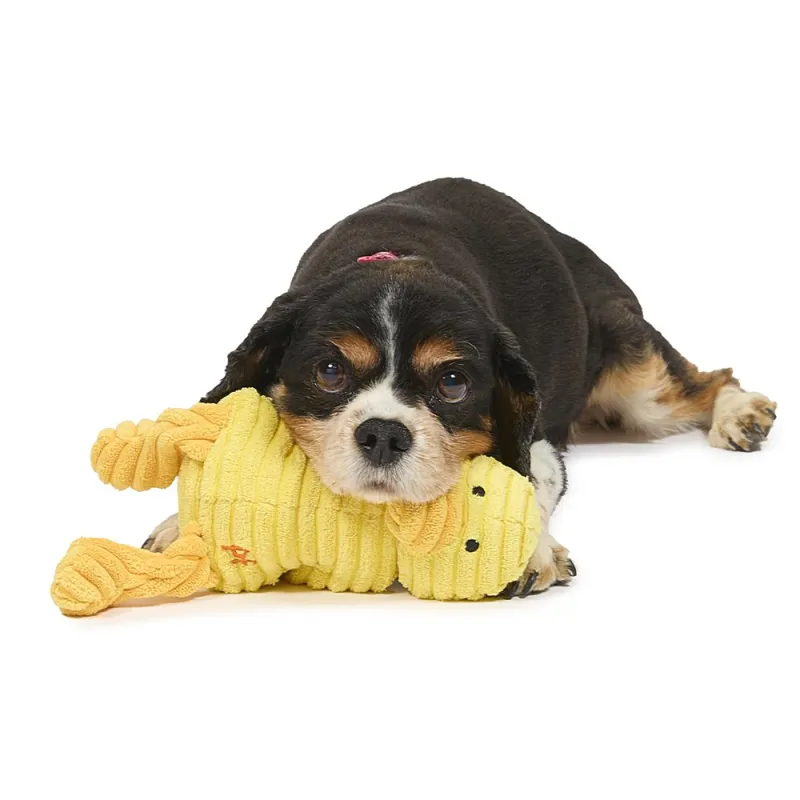 Little Petface Denny Duckling Plush Dog Toy-1