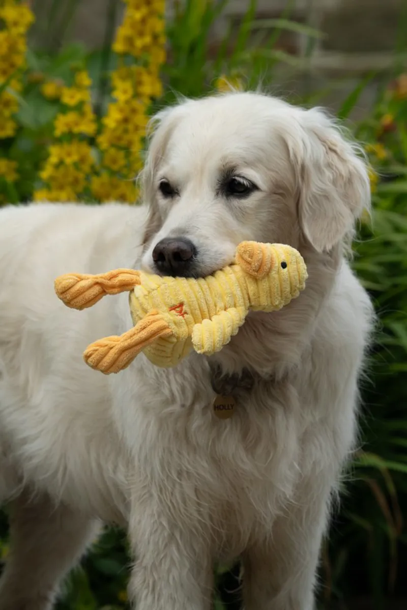 Little Petface Denny Duckling Plush Dog Toy-6