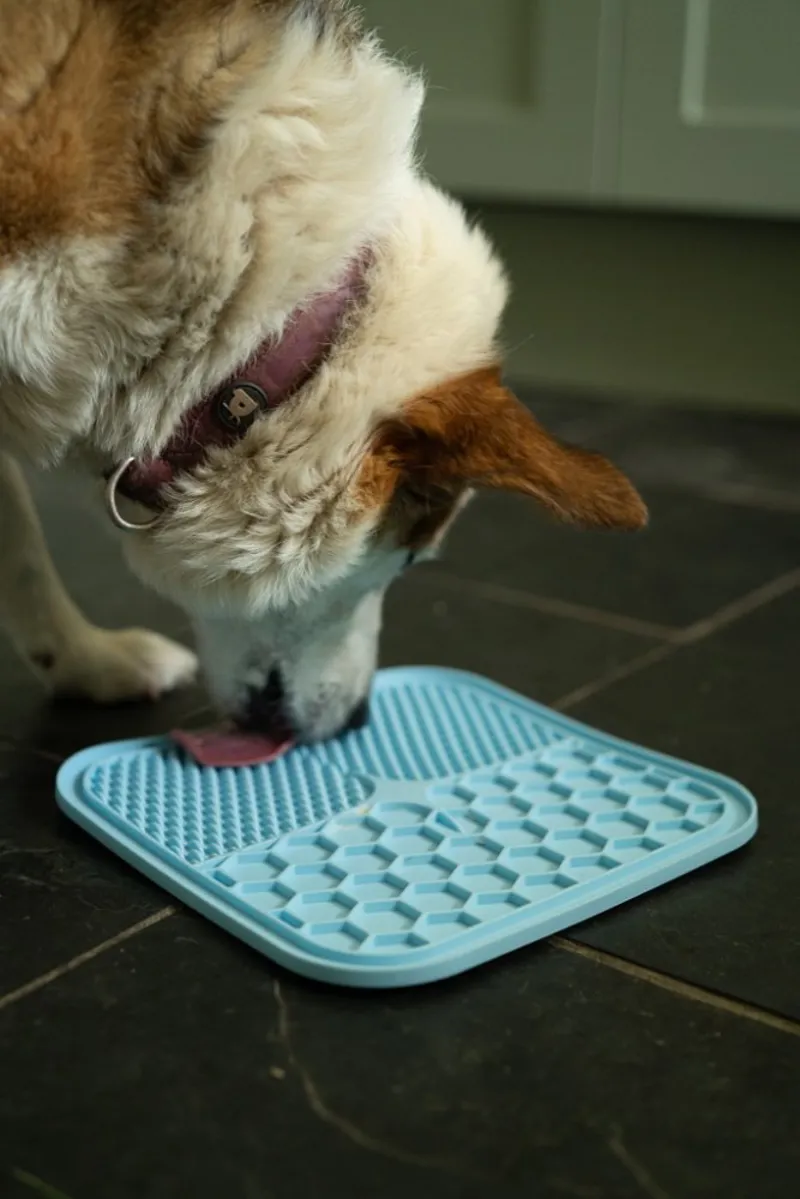 Petface Silicone Pet Treat Matt 2 Pack-6