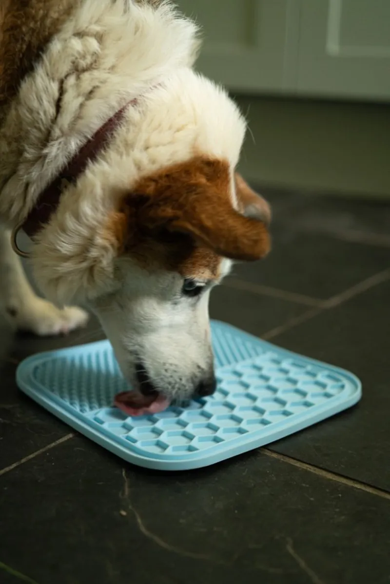 Petface Silicone Pet Treat Matt 2 Pack-7