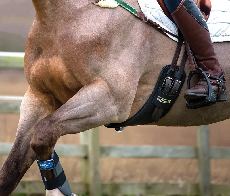 Prolite Performance Long Girth Narrow Gauge in Black-5