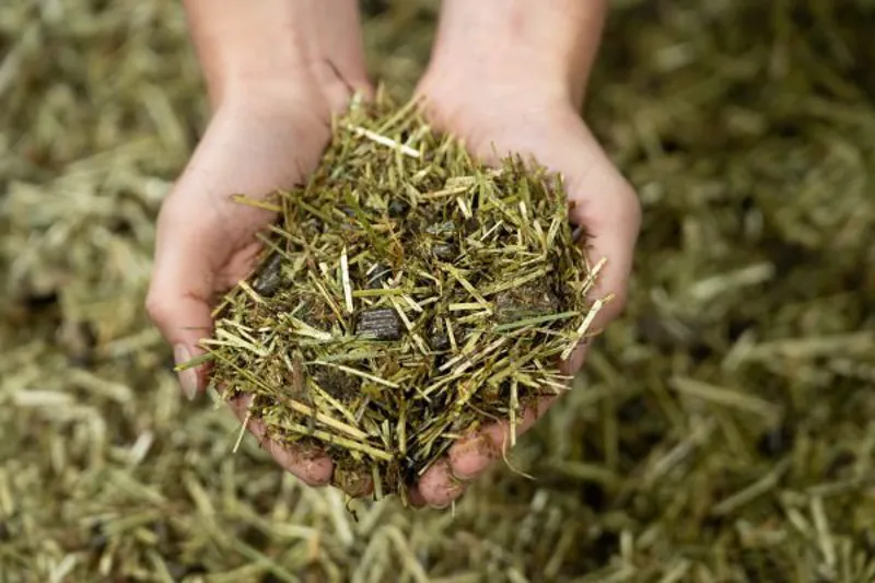 Pure Conditioning Mix Horse Feed 15kg-4