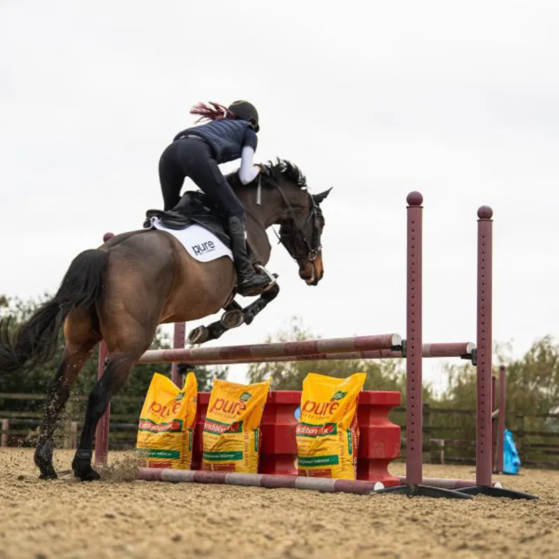Pure Conditioning Mix Horse Feed 15kg-7