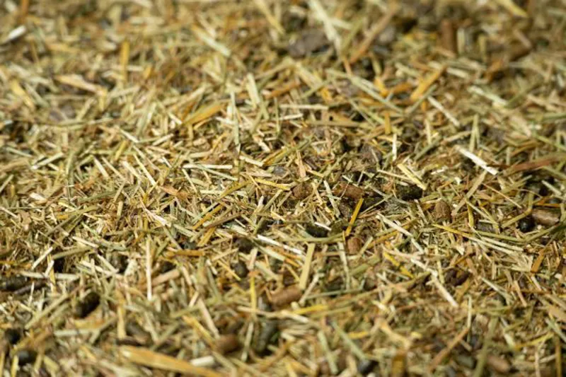 Pure Working Horse Feed 15kg-2