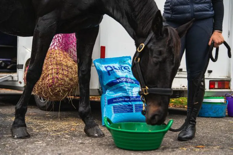 Pure Working Horse Feed 15kg-5