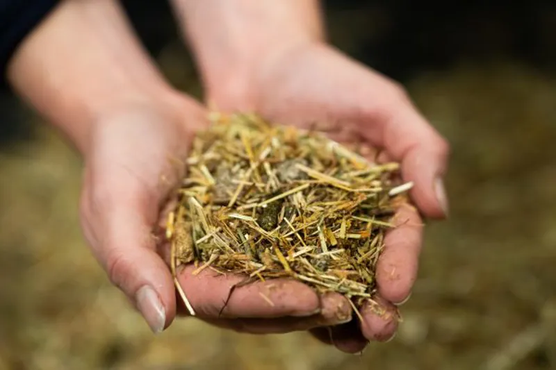 Pure Fibre Balance Horse Feed 15kg-2