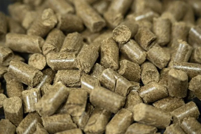 Pure Horse Treats 2kg-3