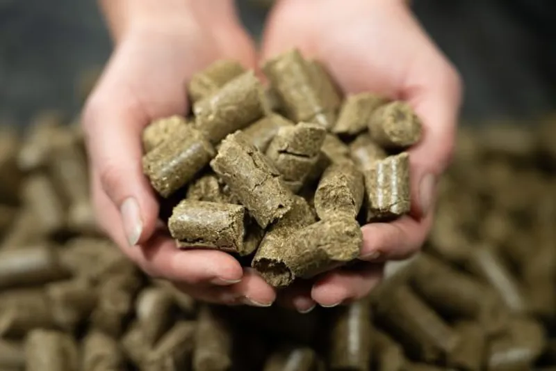 Pure Horse Treats 2kg-2