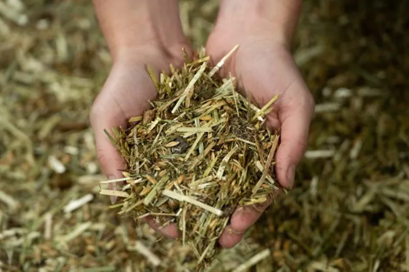 Pure Performance Horse Feed 15kg-4