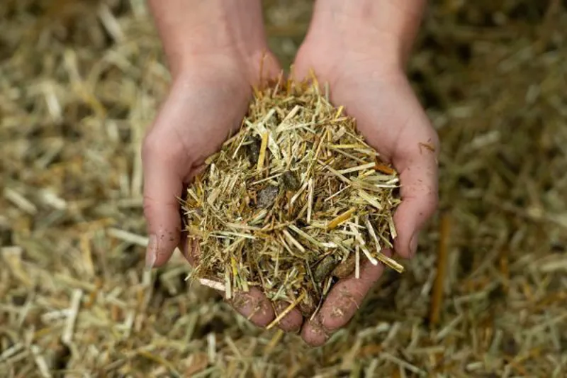 Pure Veteran Mix Horse Feed 15kg-4