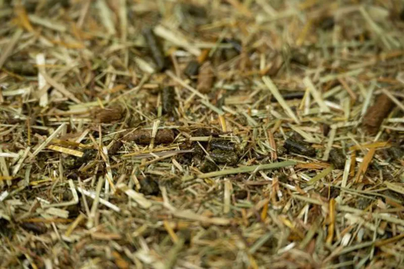 Pure Veteran Mix Horse Feed 15kg-2