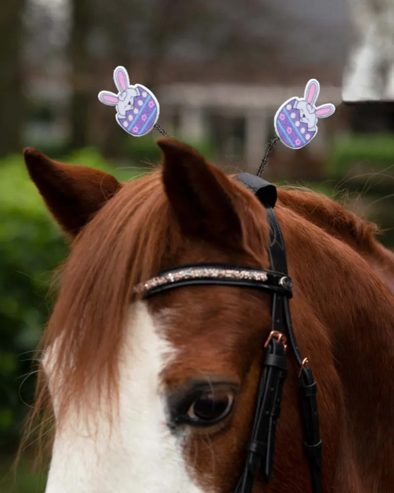 QHP Easter Bridle Accessory