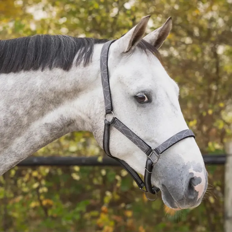QHP Turnout Collection Headcollar Set in Grey Reflective-1