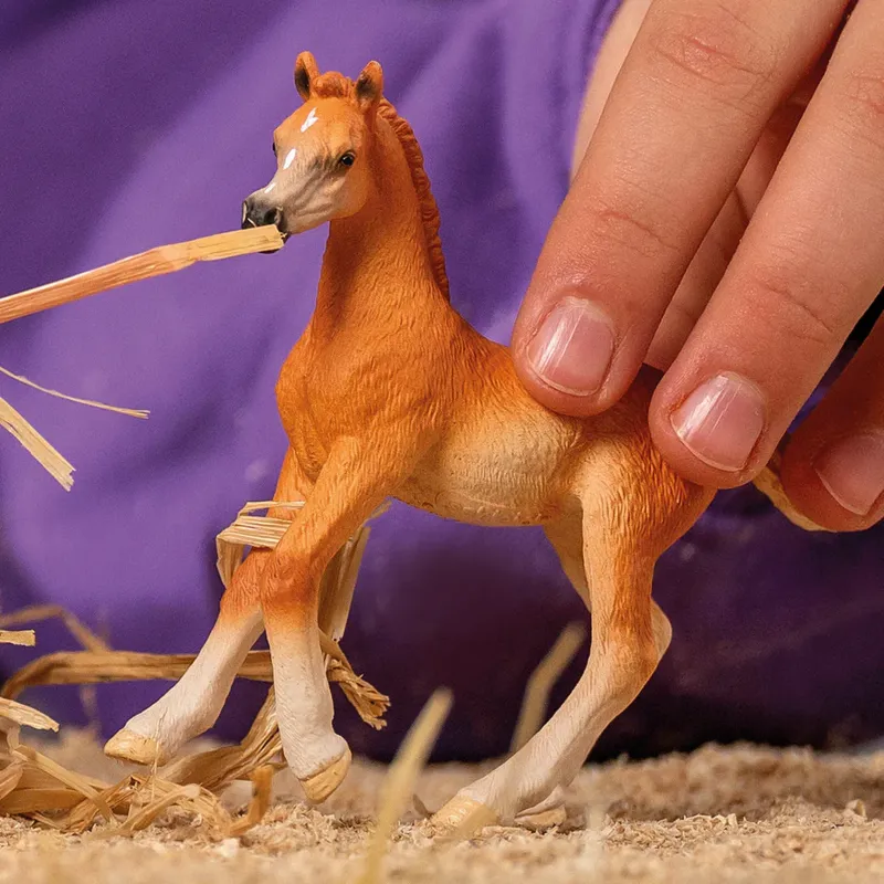 Schleich Arab Foal Toy-1