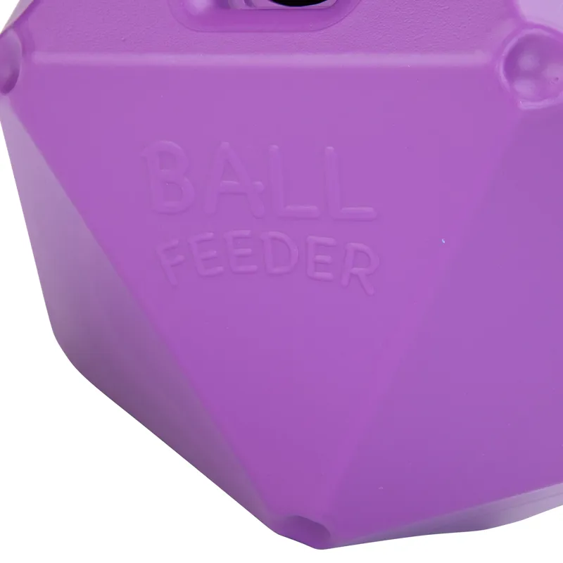 Shires Ball Feeder in Purple-2