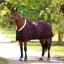 Shires Deluxe Stable Sheet in Black Cherry