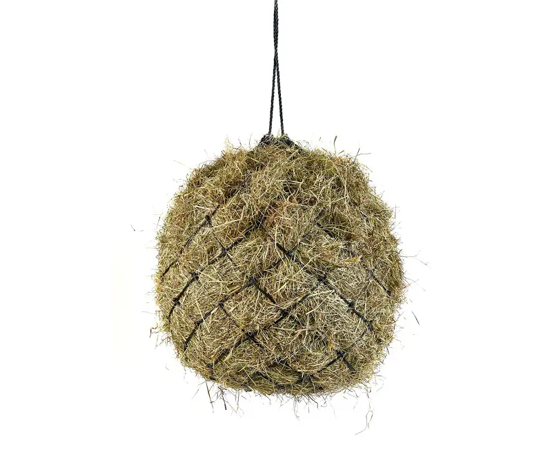 Shires Haynet in Black