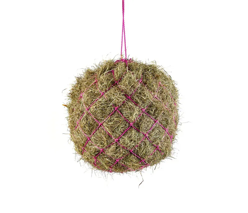 Shires Haynet in Pink