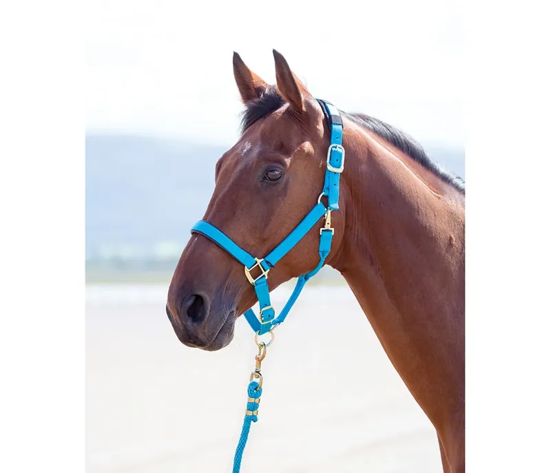 Shires Topaz Nylon Headcollar in Blue-1