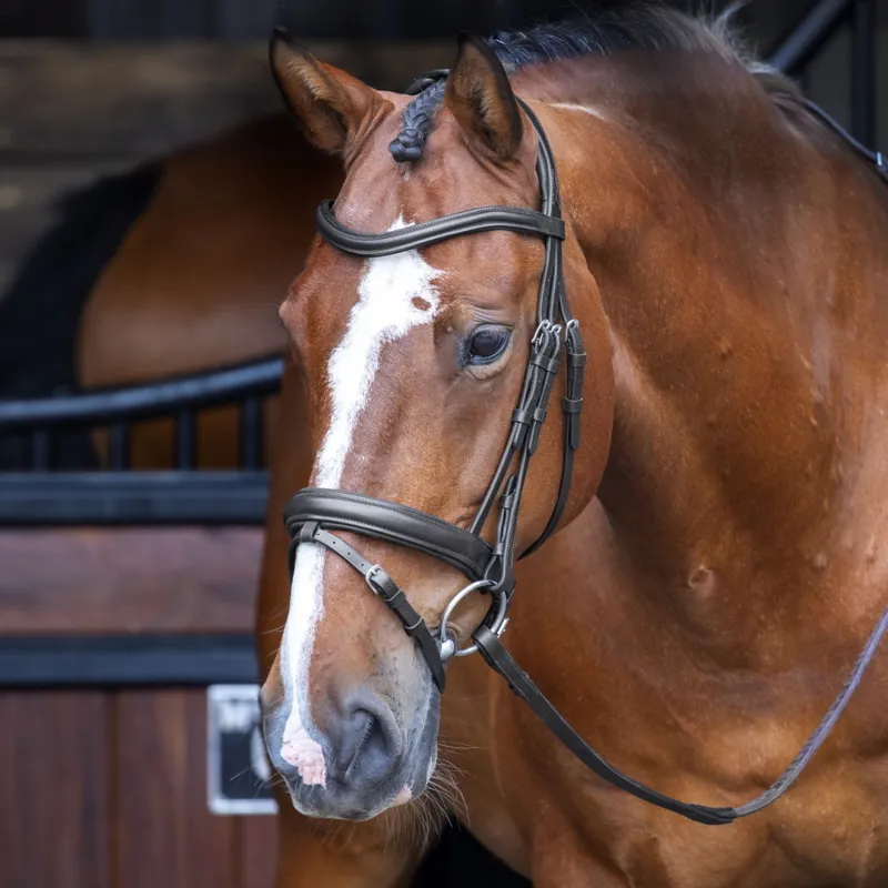 Velociti RAPIDA Dressage Bridle with Flash in Black