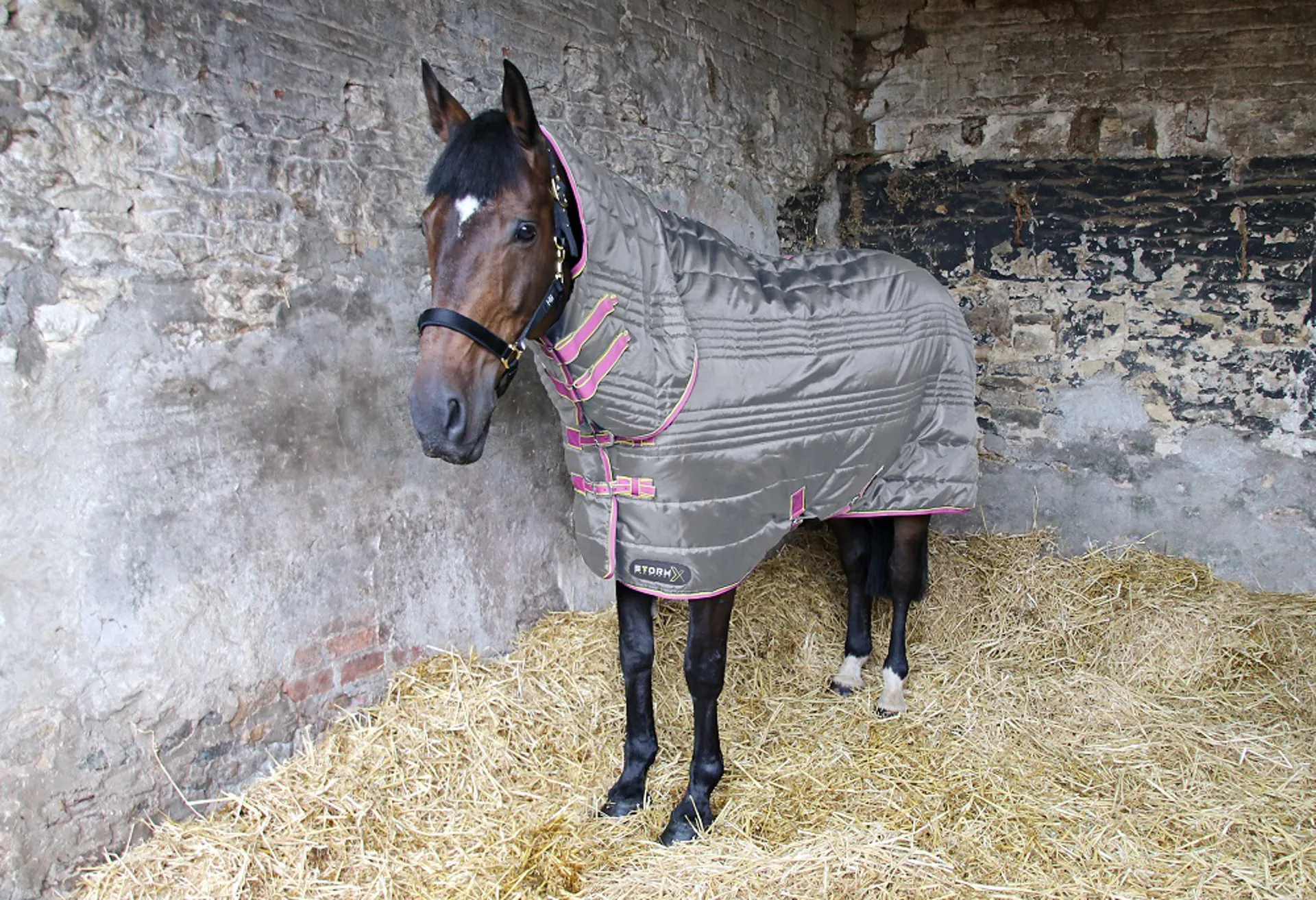 StormX 300g Combi Stable Rug in Grey Pink and Yellow - Horse Rugs