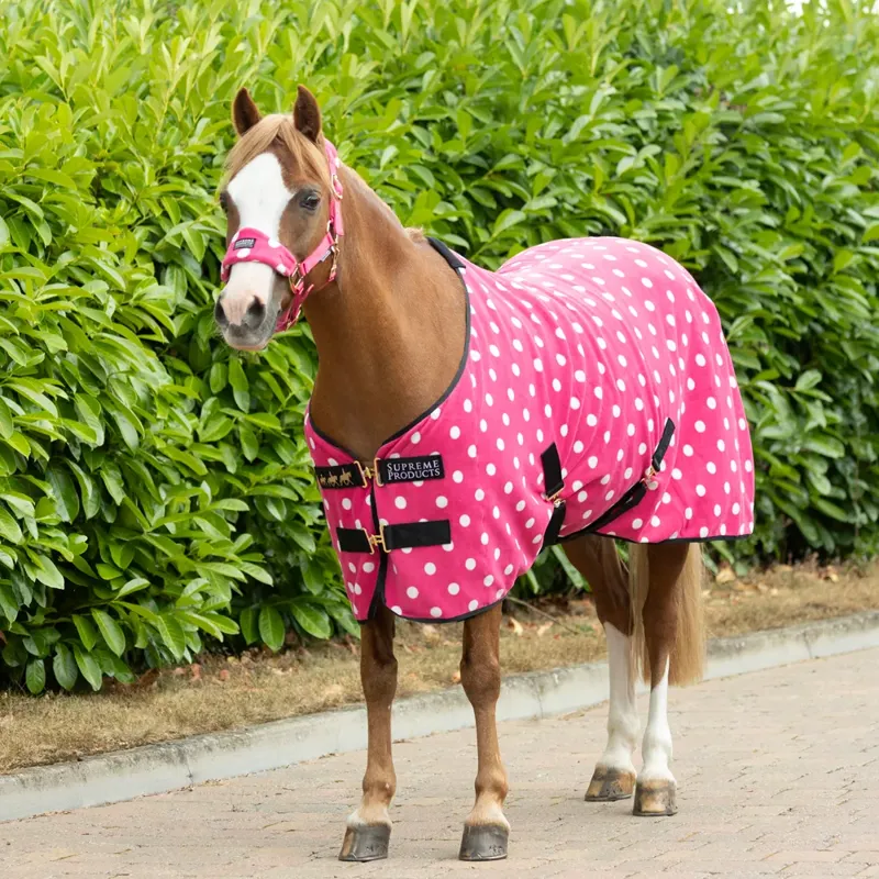 Supreme Products Dotty Fleece Rug in Paradise Pink