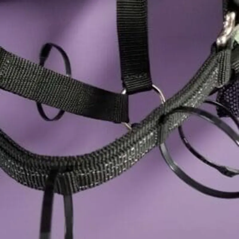 ThinLine Breakaway Field Safe Headcollar-2