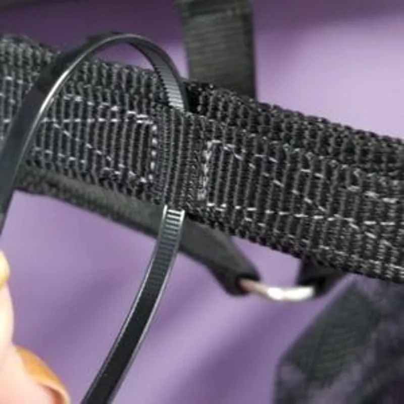 ThinLine Breakaway Field Safe Headcollar-3