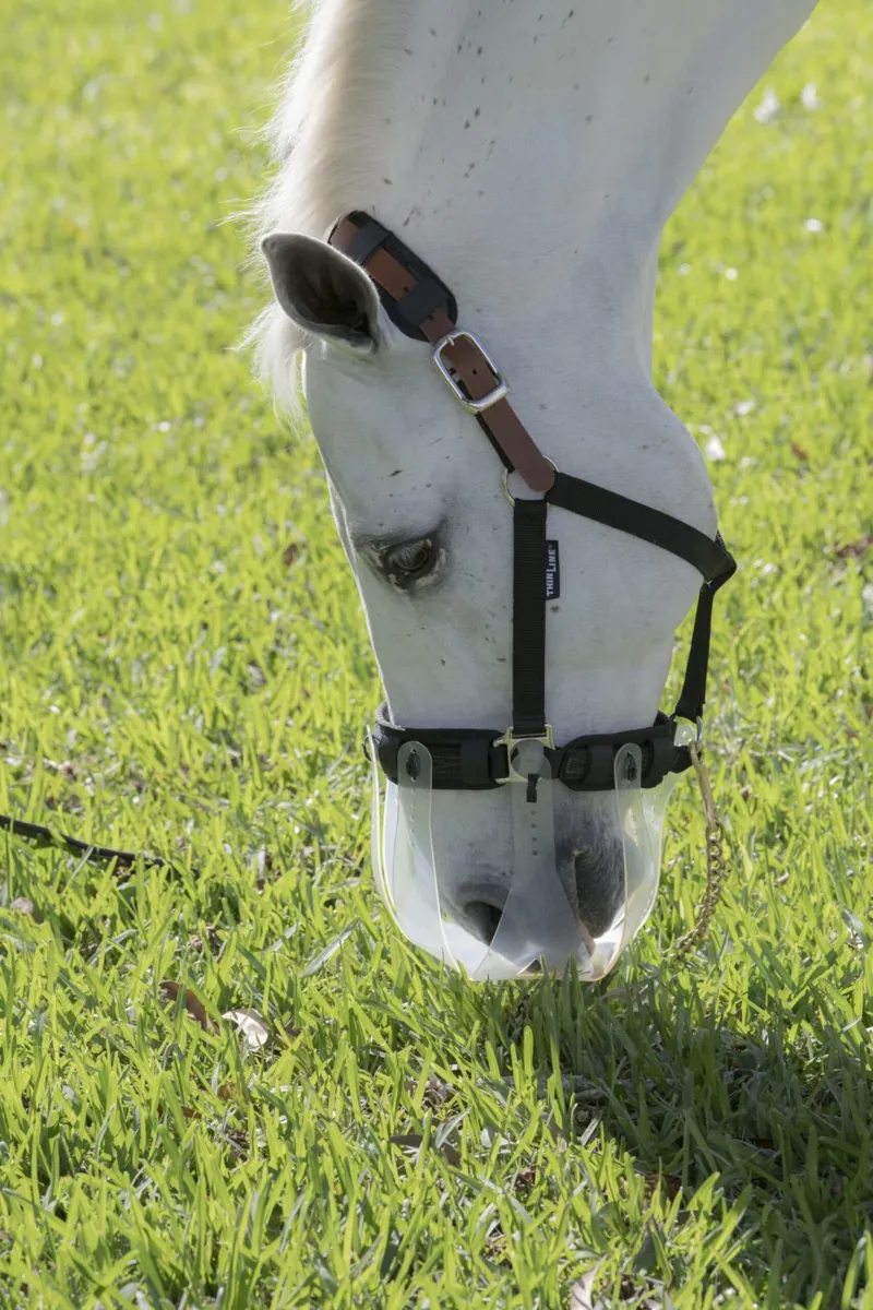 ThinLine Breakaway Field Safe Headcollar-1