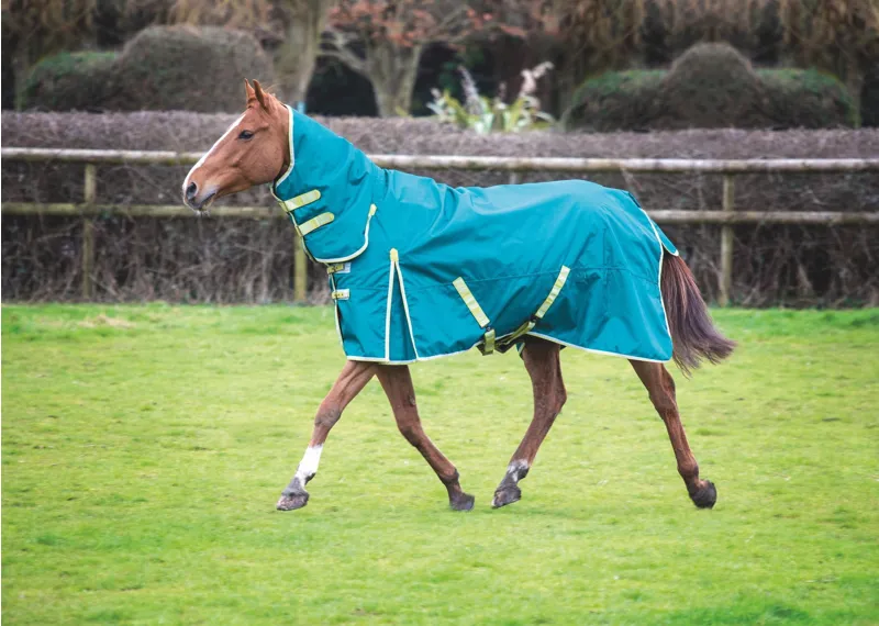 Bridleway Ontario 100g Combo Turnout Rug in Green