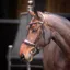 Velociti LUSSO Elite Padded Cavesson Bridle in Havana