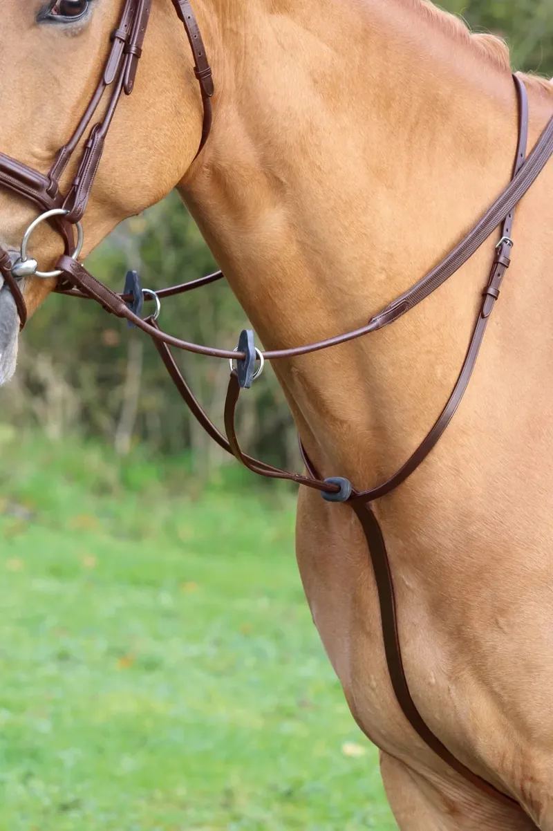 Velociti GARA Running Martingale in Havana