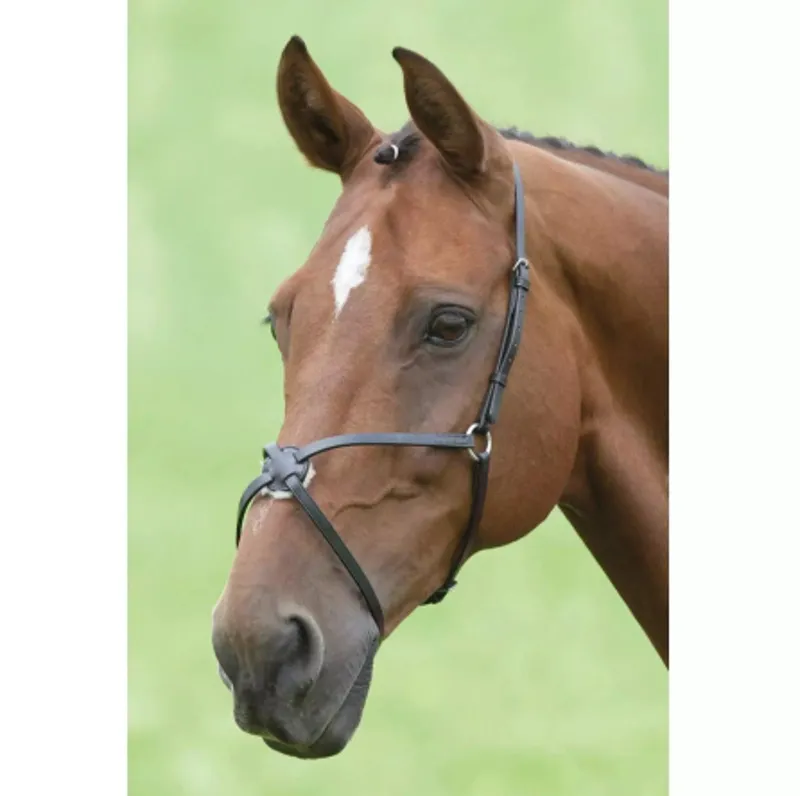 Velociti RAPIDA Grackle Noseband in Black-1