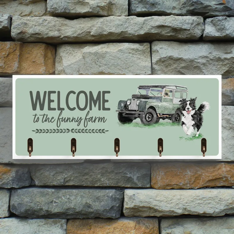 Vivid Squid 'Funny Farm' Key Hooks