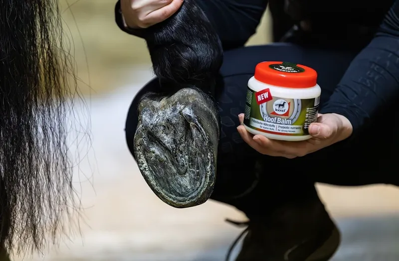 Leovet Prebiotic Hoof Balm-1