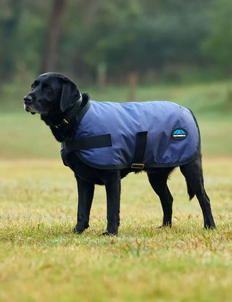 Weatherbeeta ComFiTec Classic Dog Coat in Navy