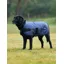 Weatherbeeta ComFiTec Classic Dog Coat in Navy