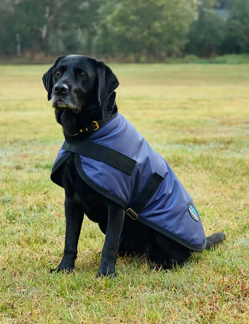 Weatherbeeta ComFiTec Classic Dog Coat in Navy-3