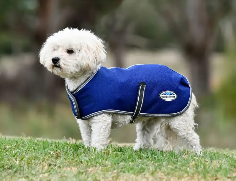 Weatherbeeta Comfitec Premier Free Parka Dog Coat in Blue-2