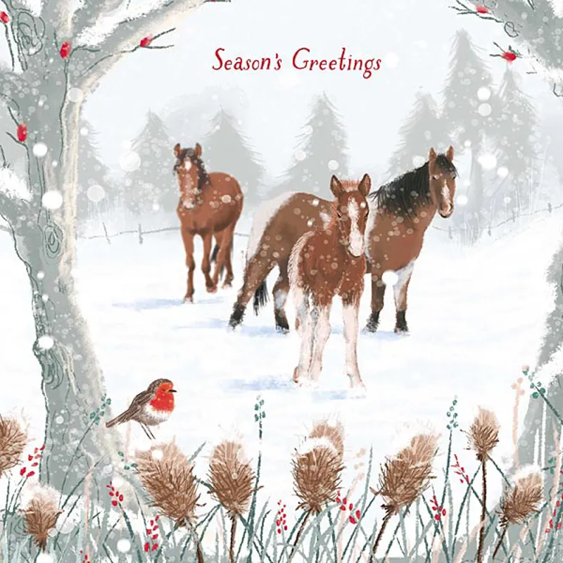 Winter Friends Christmas Cards