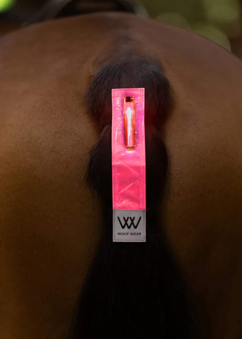 Woof Wear LED Hi Vis Tail Light in Pink