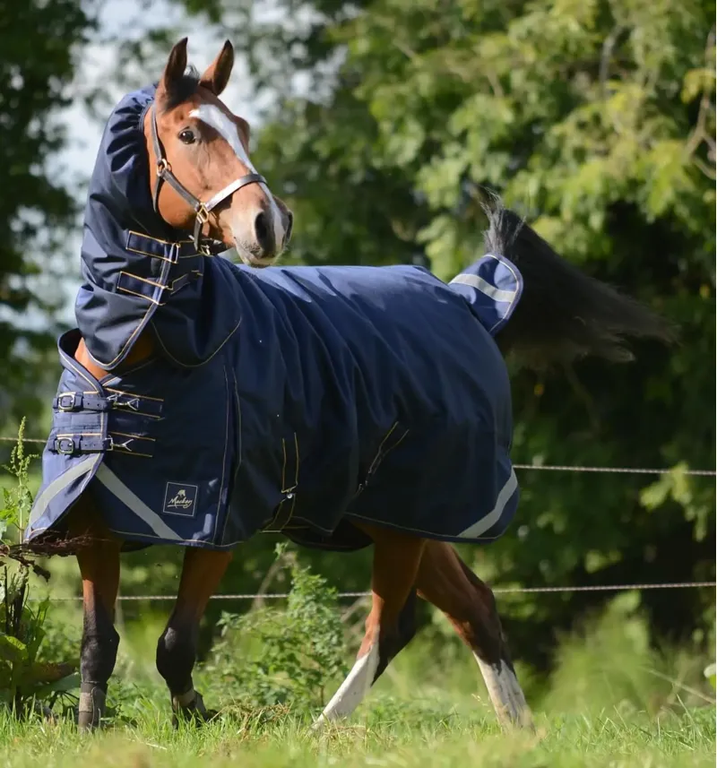 Mackey Wicklow Turnout Rug 360g in Navy and Gold