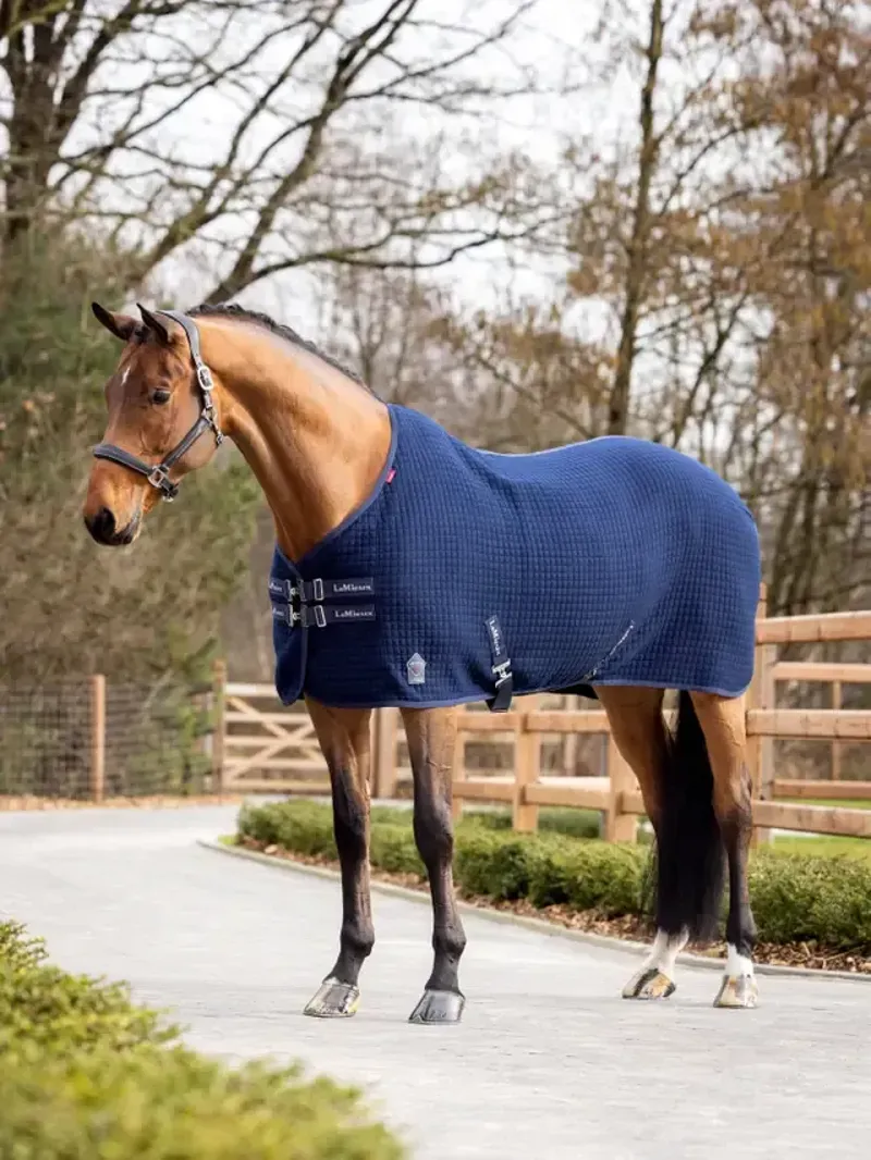 LeMieux Arika Clima-Tek Rug in Navy Blue