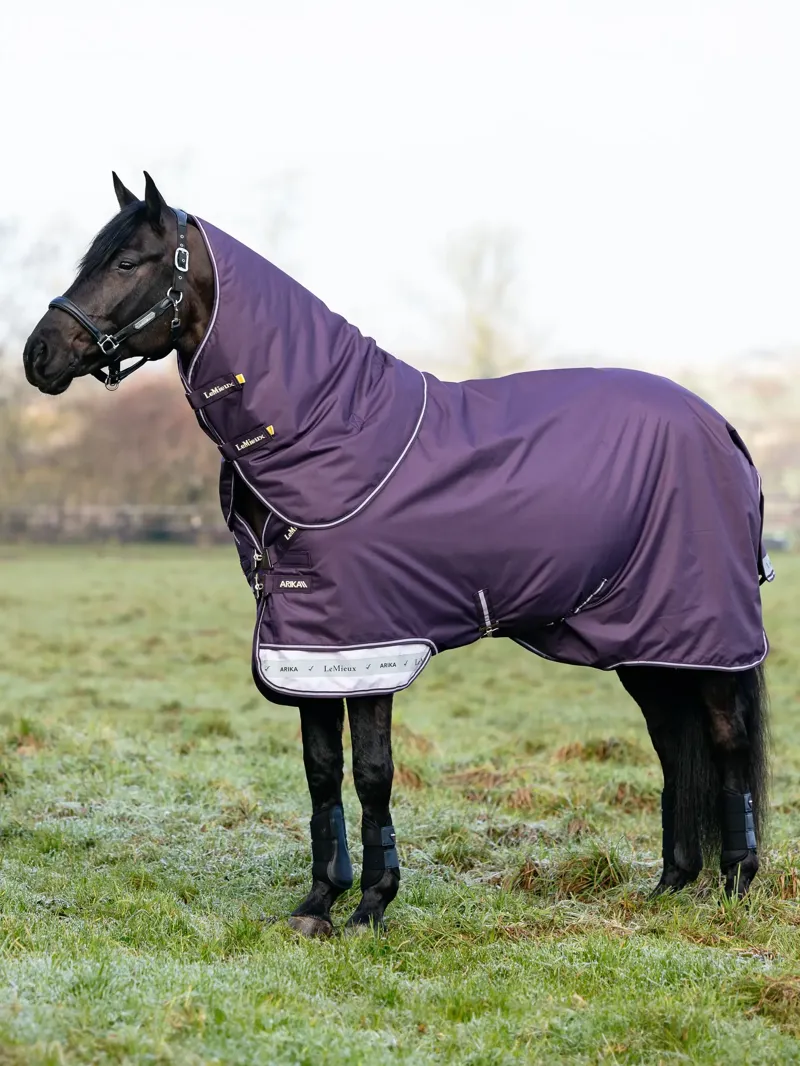 LeMieux Arika Ripstop Turnout Rug 0g in Juniper