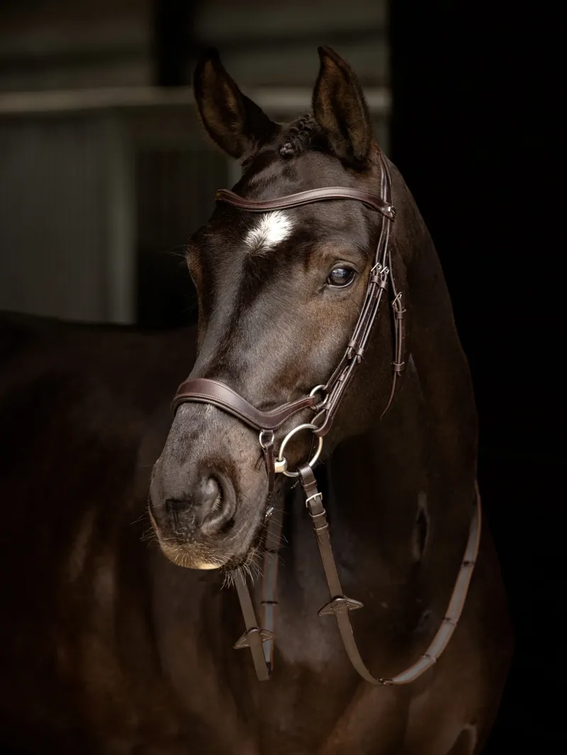 LeMieux Arika Drop Bridle in Brown and Silver-3