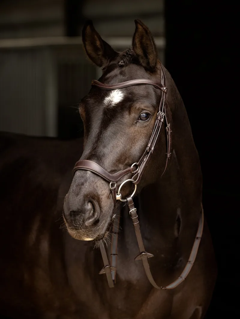 LeMieux Arika Drop Bridle in Brown and Silver-2