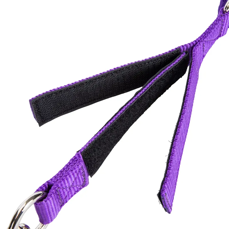 ARMA Breakaway Trailer Tie One Size in Purple-1
